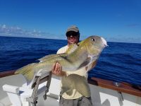 A man on a boat holding a large Golden Tilefish caught during a multi-day fishing trip in the Gulf of Mexico