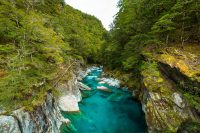 Haast River New Zealand