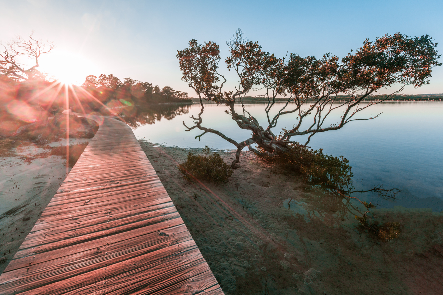 Merimbula Broadwalk