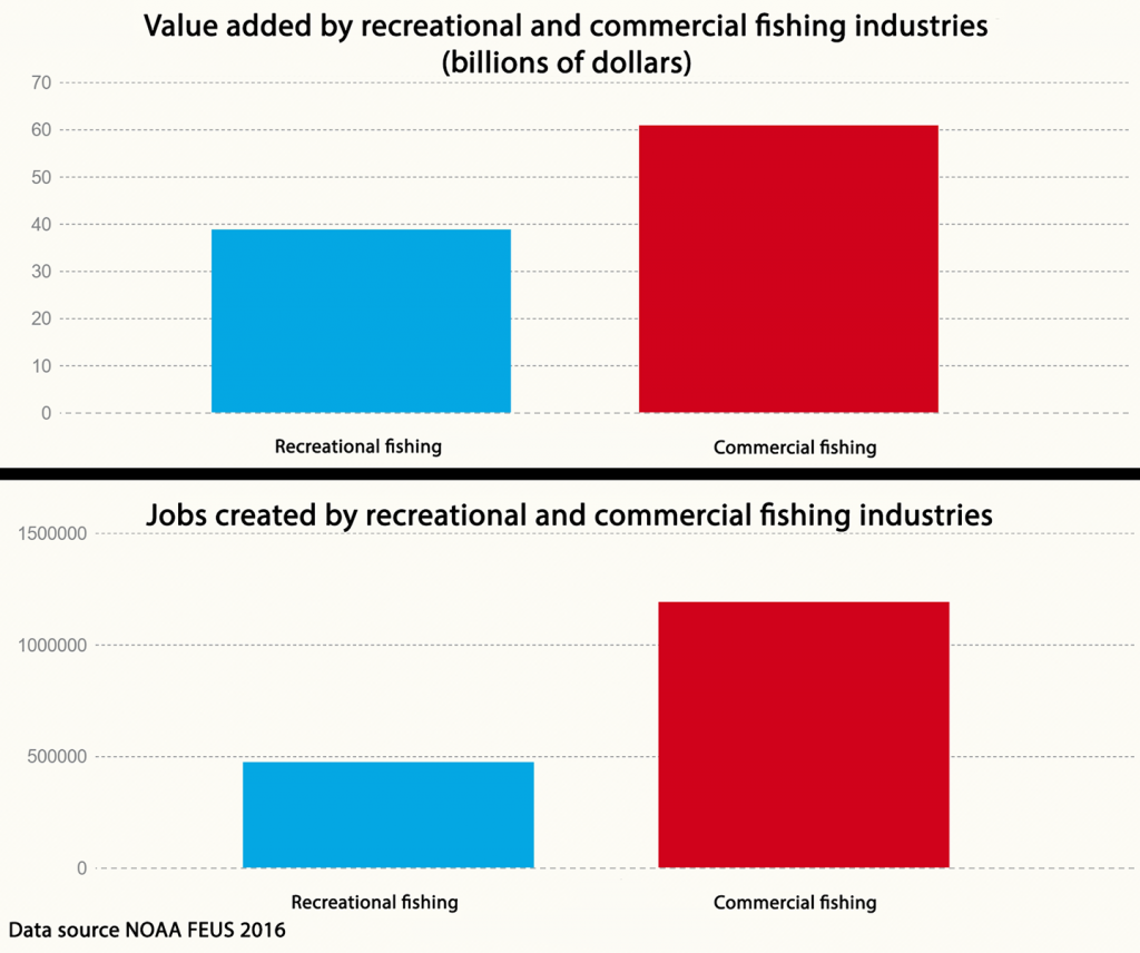 Explained Commercial Fishing Vs. Recreational Fishing FishingBooker Blog