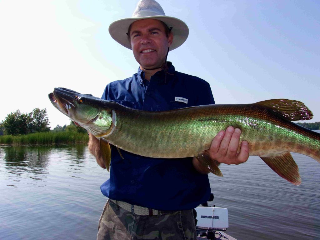 Paul Hale with Musky caught on Lake Chippewa, WI