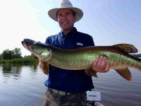 Paul Hale with Musky caught on Lake Chippewa, WI