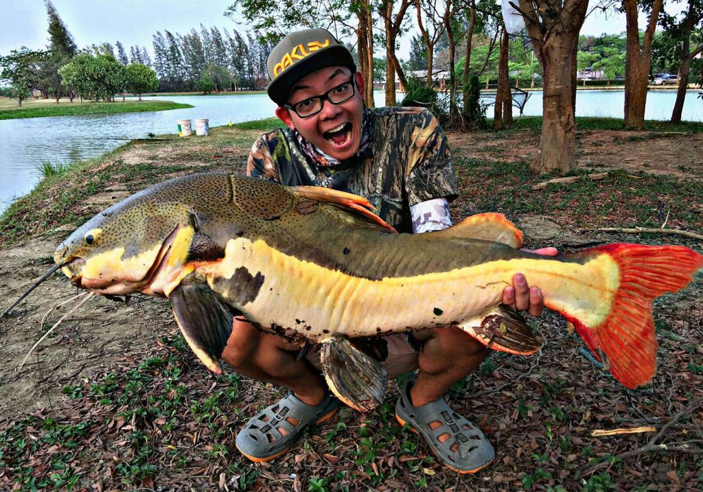 Thailand Fishing Resorts All You Need to Know FishingBooker Blog