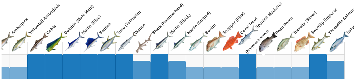 the species you can catch in January in the Gold Coast
