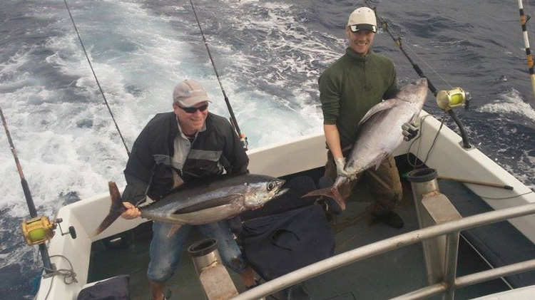 Tuna frenzy aboard local charter "Brisa do Mar"
