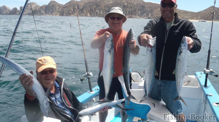 Sierra Mackerel (review of Sushi Time Charters)