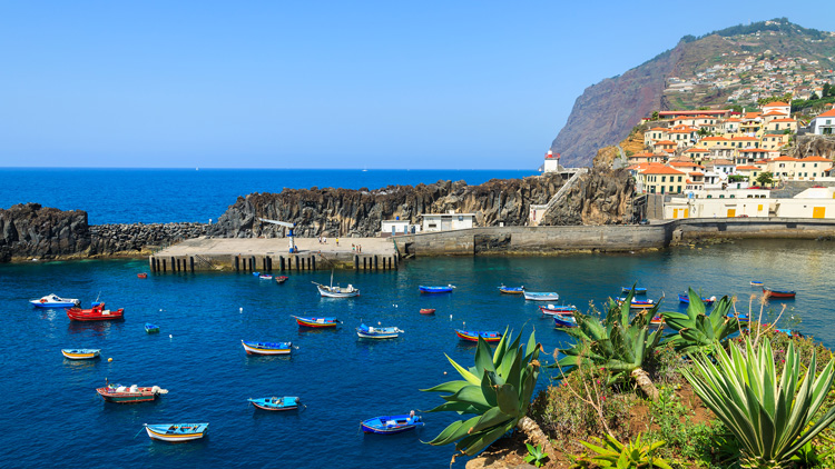 Camara de Lobos , Madeira