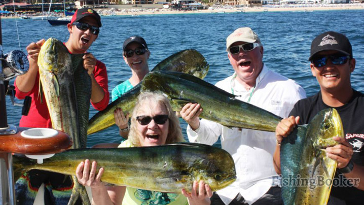 Fishing in Cabo San Lucas: Mahi Maddness aboard Samurai (Read Full Report)