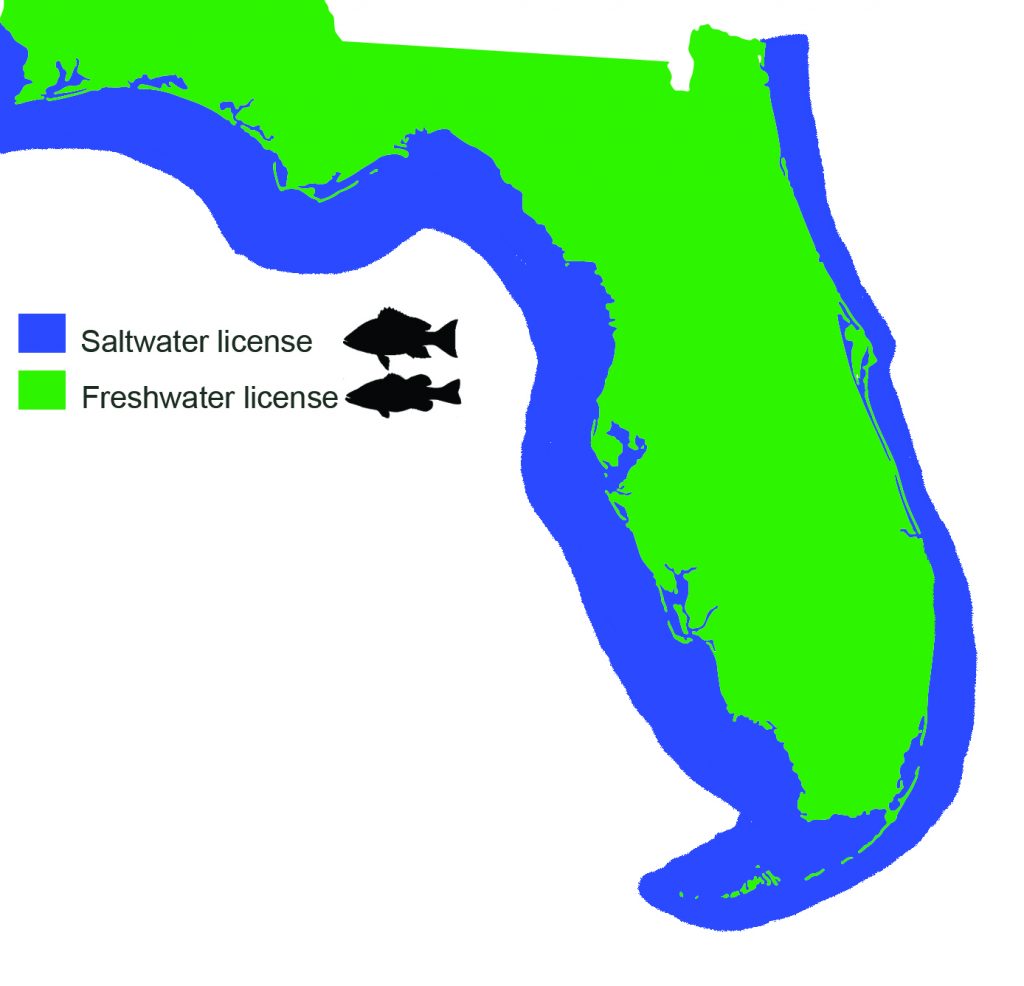 Getting a Florida fishing license all you need to know FishingBooker