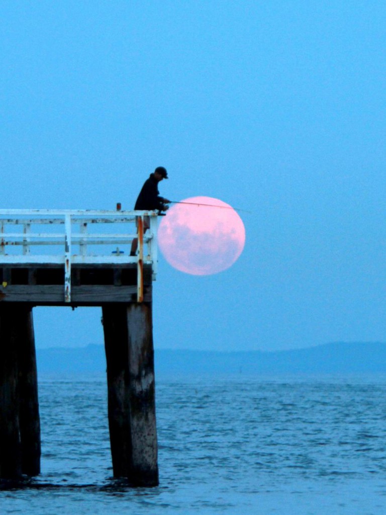 casting-beyond-the-moon-can-solunar-tables-and-moon-phases-help-you