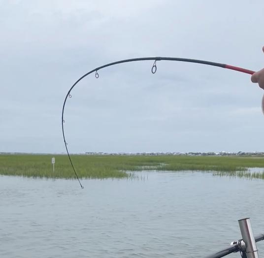 Rough day with the bite