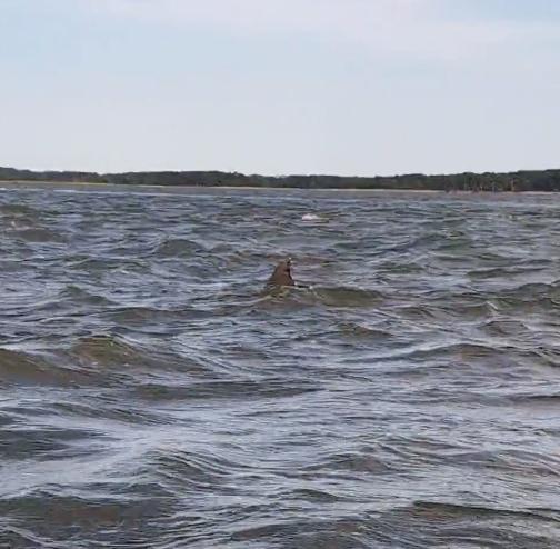 Best part of vacation 