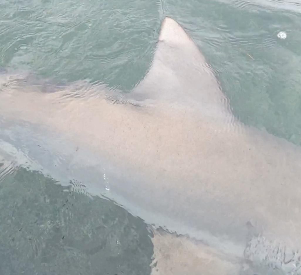 Best charter in the Keys