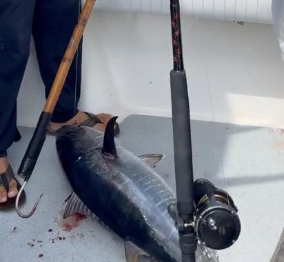 Great Fishing at Coronados