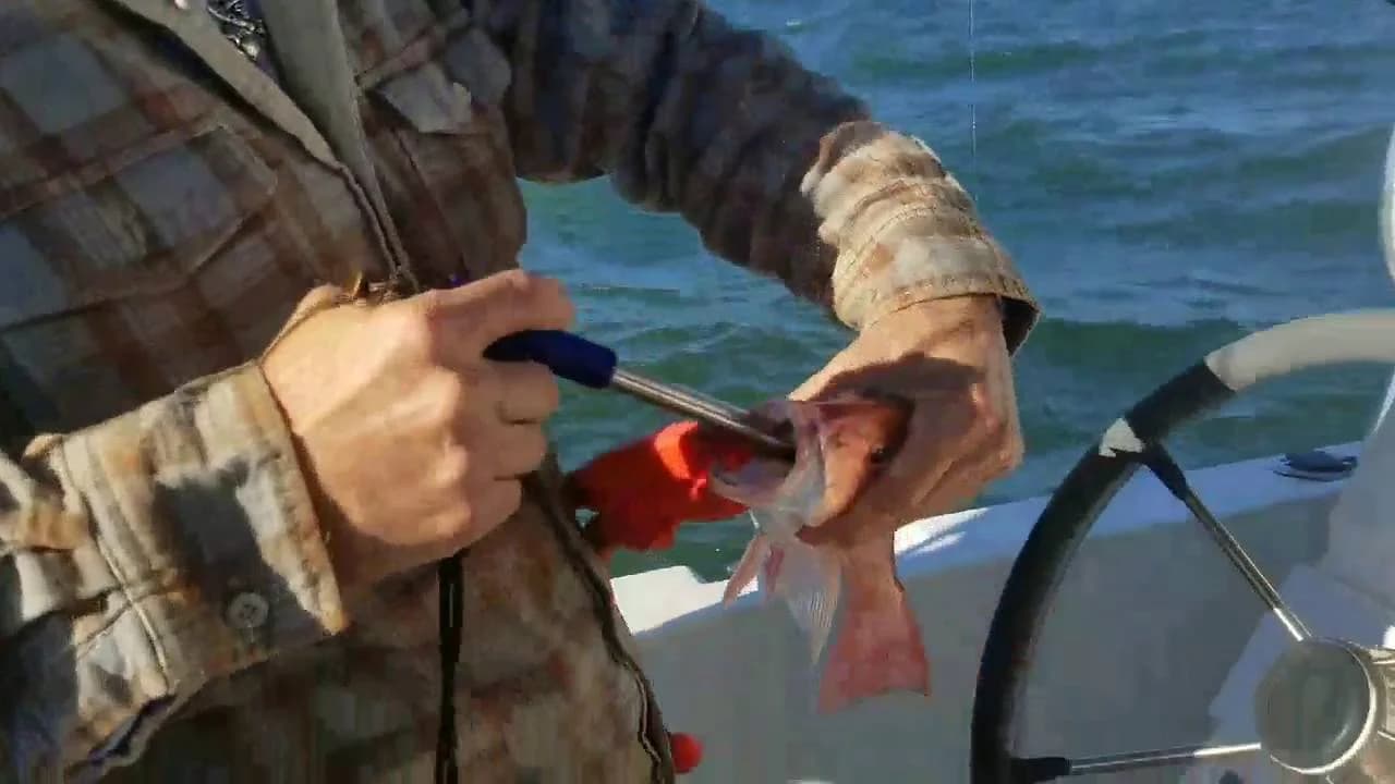 Charter Image