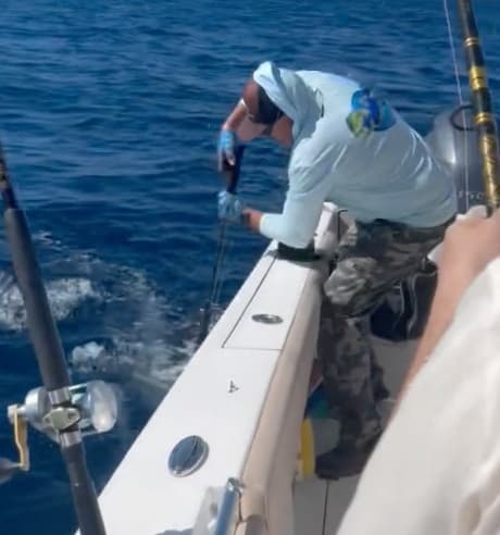 Charter Image