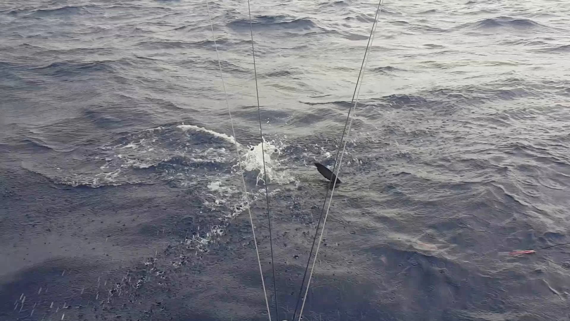 Charter Image