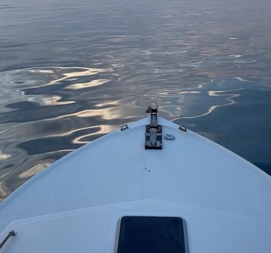 Charter Image