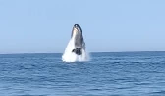 Charter Image
