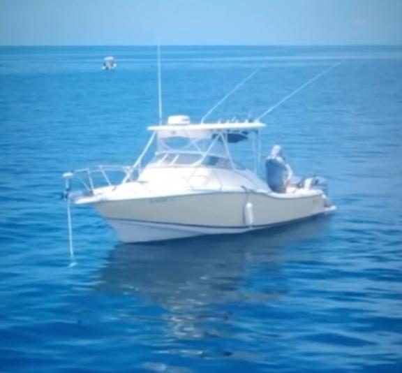 Charter Image