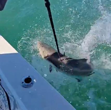 October fishing trip