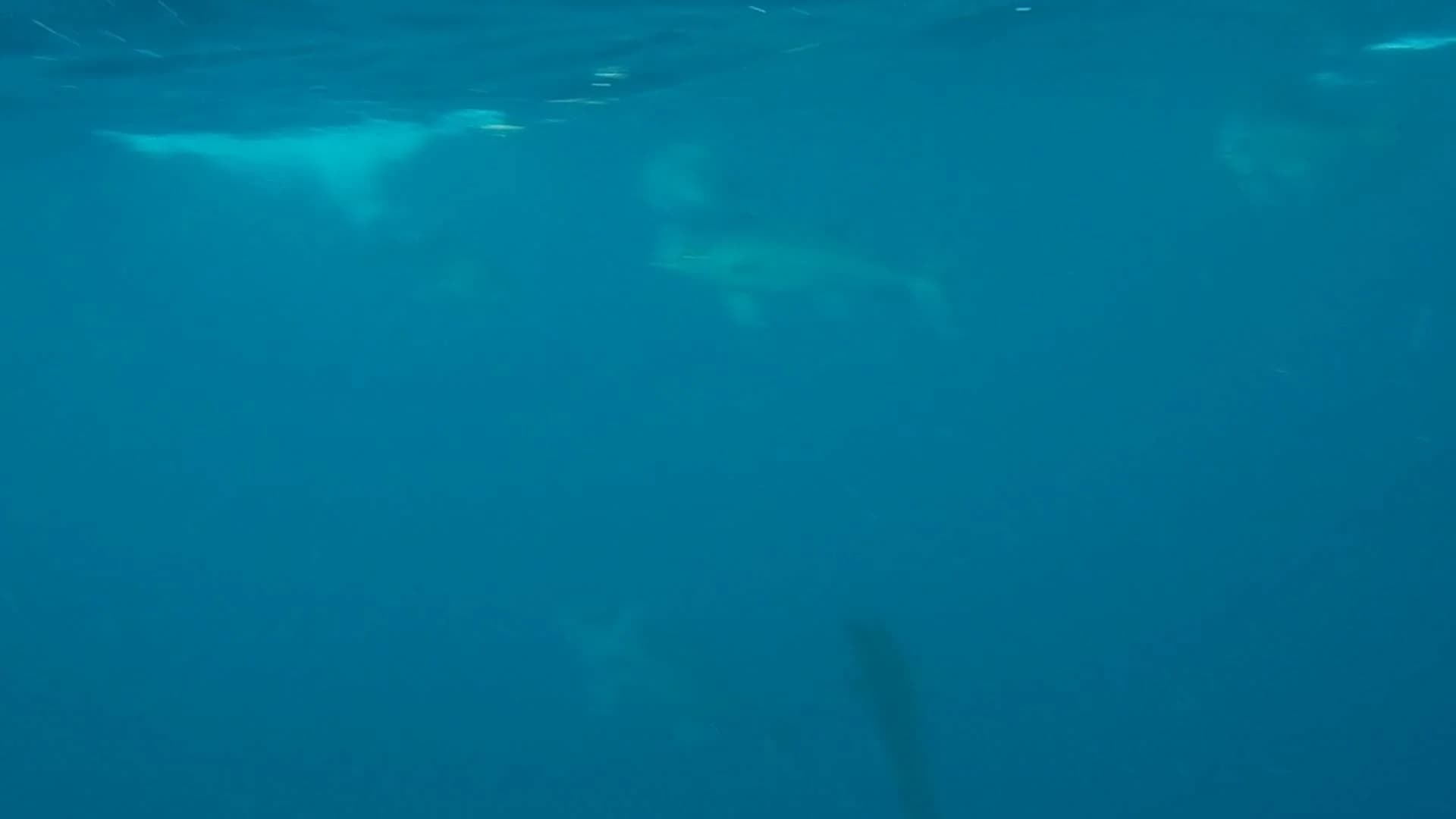 Charter Image