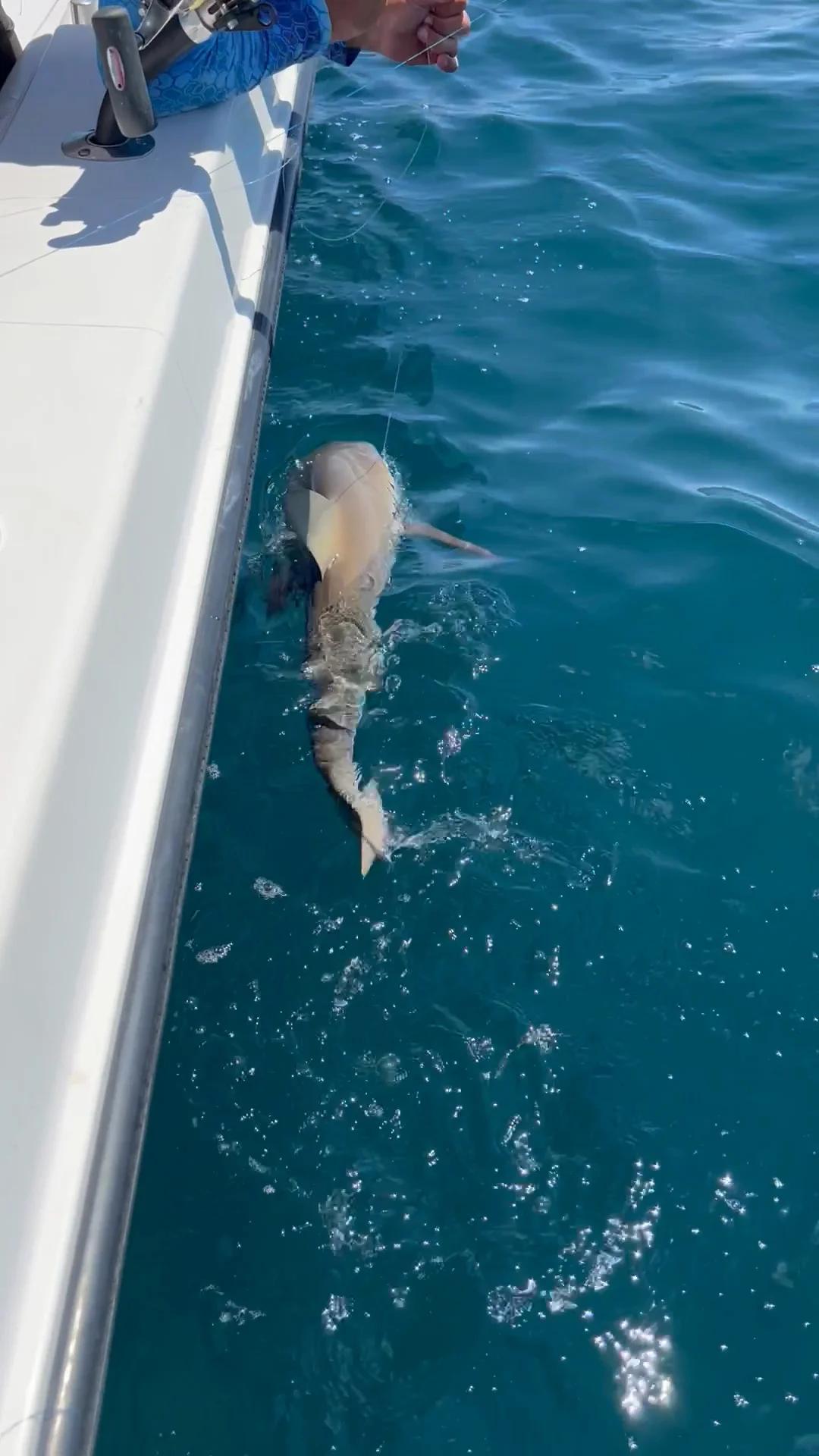 Half day trip with Capt Josh