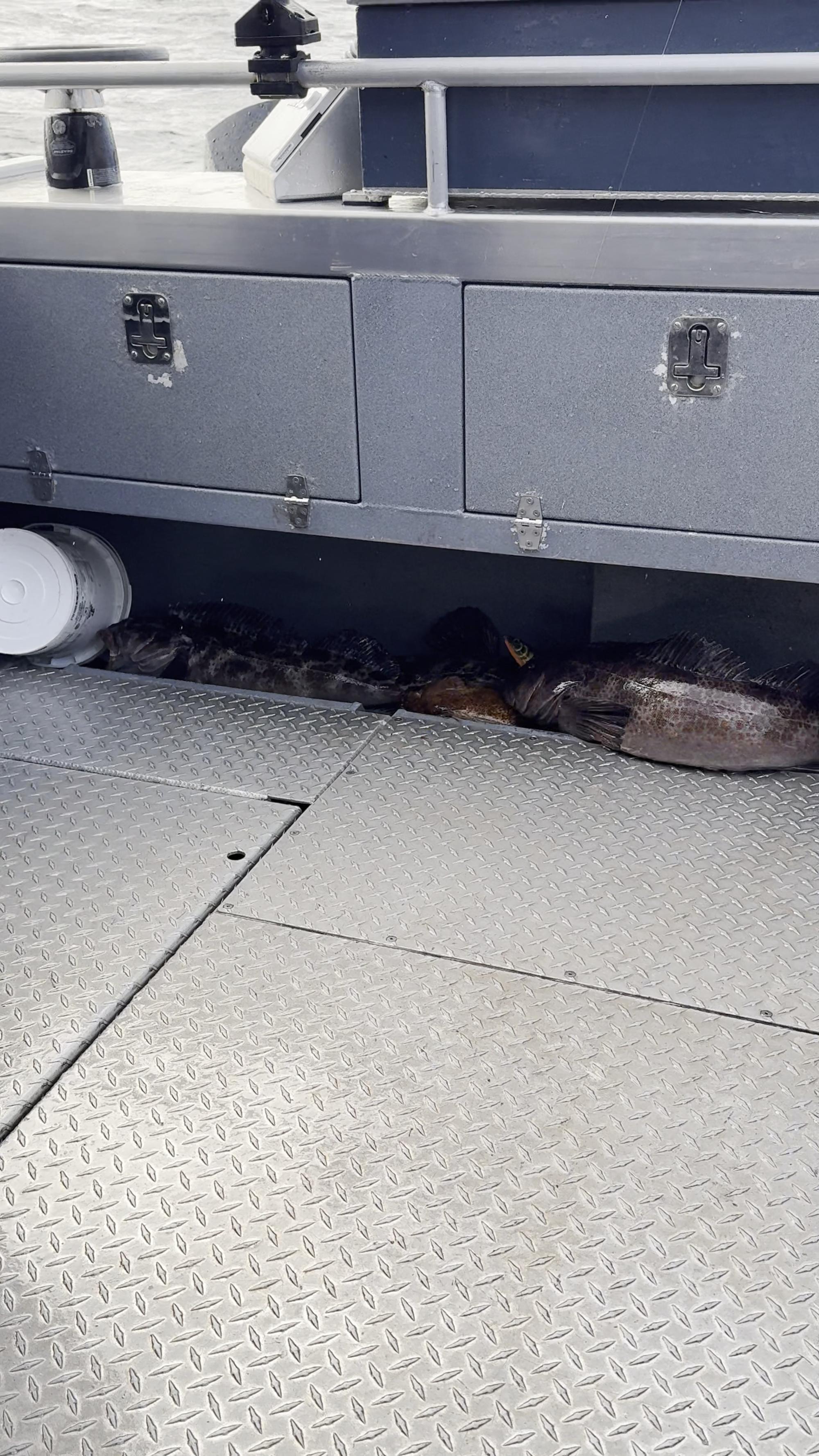 top notch fishing experience 