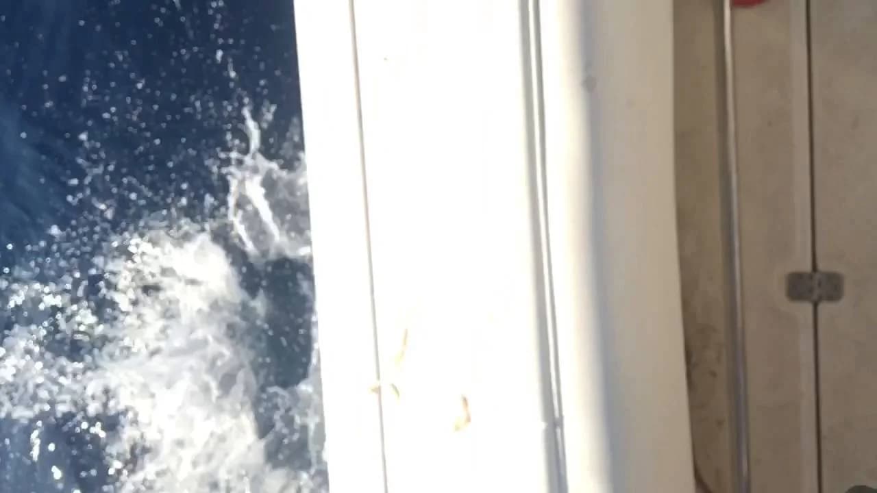 Charter Image