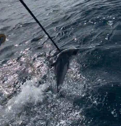 Charter Image