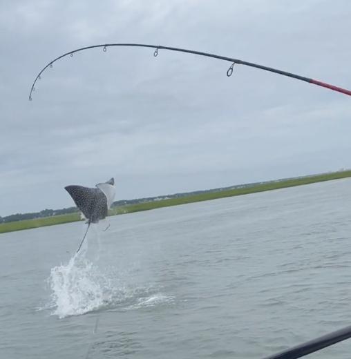 Rough day with the bite