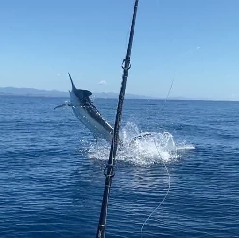 Charter Image