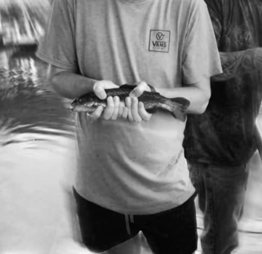 Fish, Fun & Laughs 