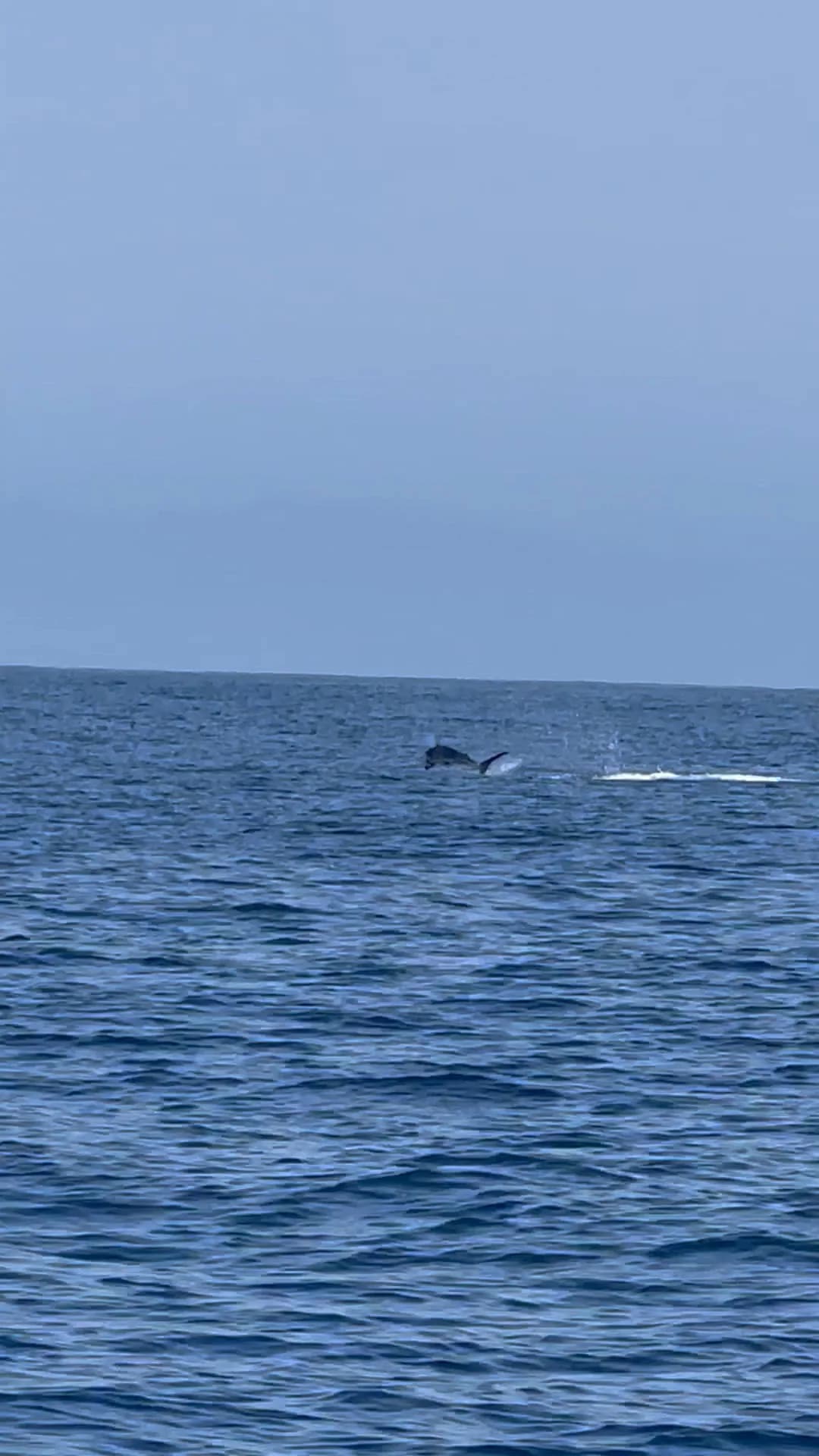 Charter Image