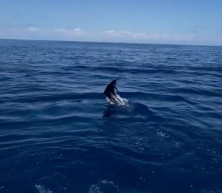 Charter Image