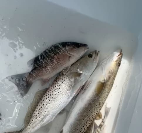Awesome fishing charter! 