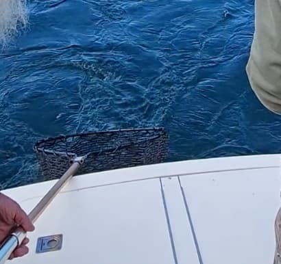 Charter Image