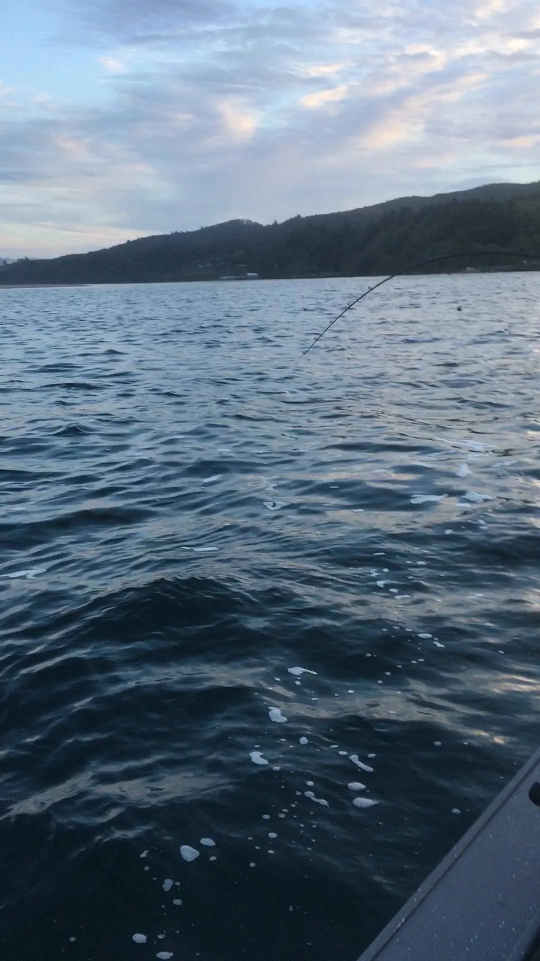 We had a great all day trip with Mike