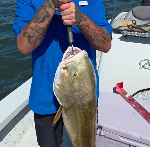 ⭐️⭐️⭐️⭐️⭐️ 5/5 Once-in-a-Lifetime Fishing Trip!