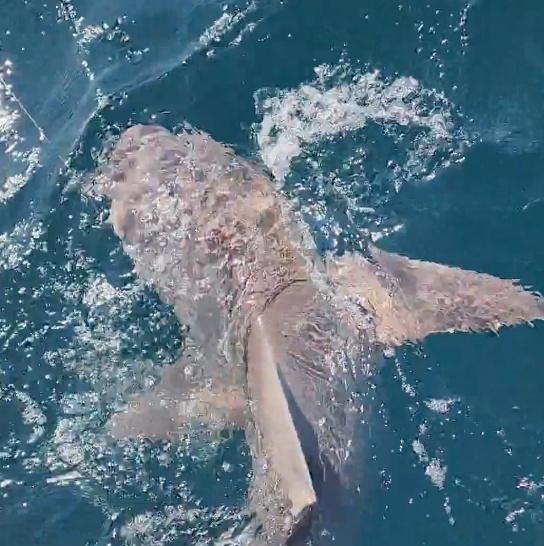 A Great Day on the water.