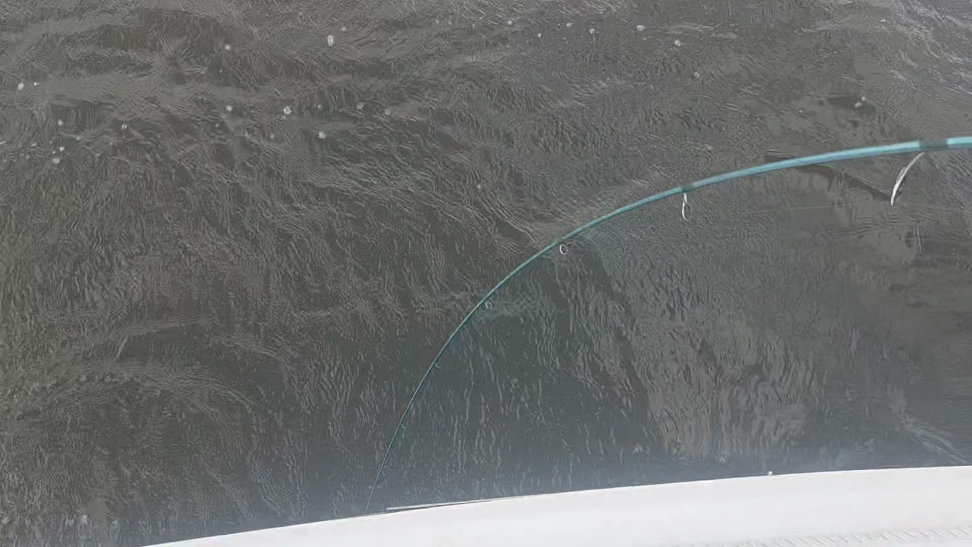 Charter Image
