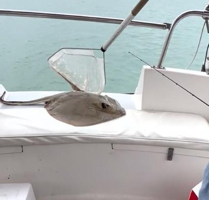 Reelin’ in the memories!