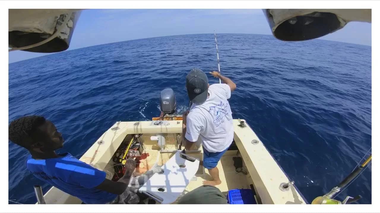Charter Image