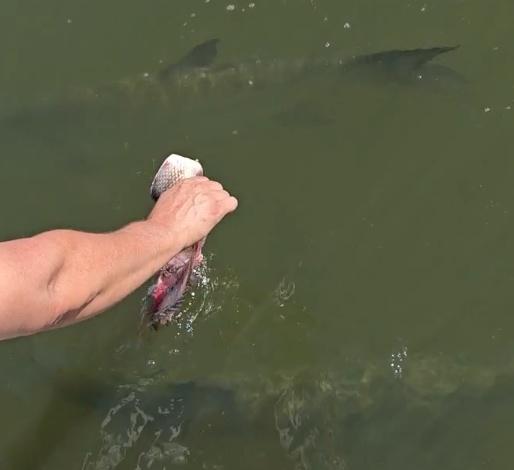 Beautiful day on the back bays