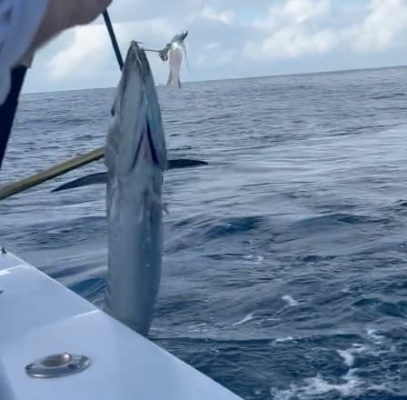 Charter Image