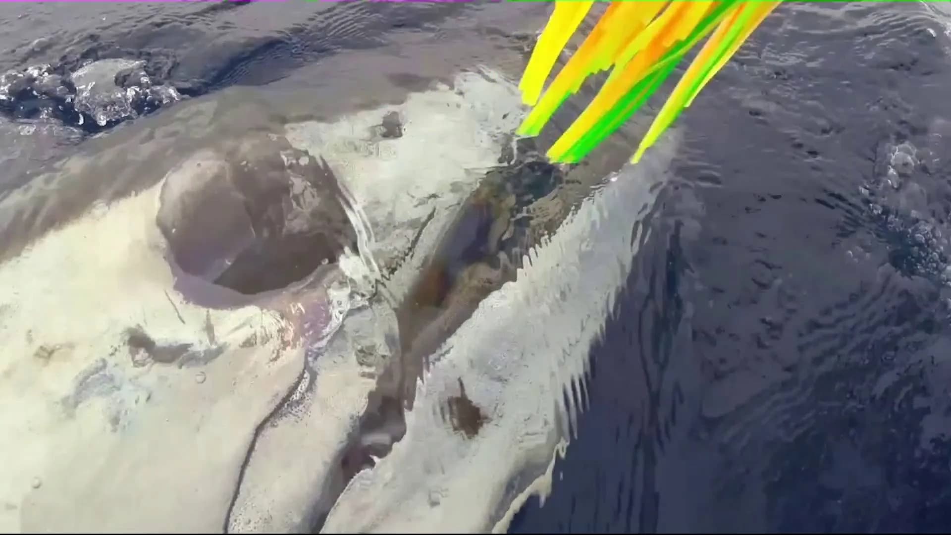 Charter Image