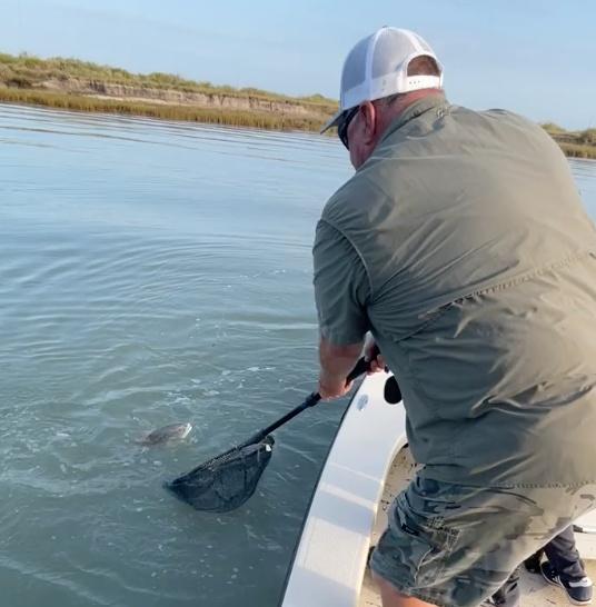 Great catch of reds, all between 25-29 inches!