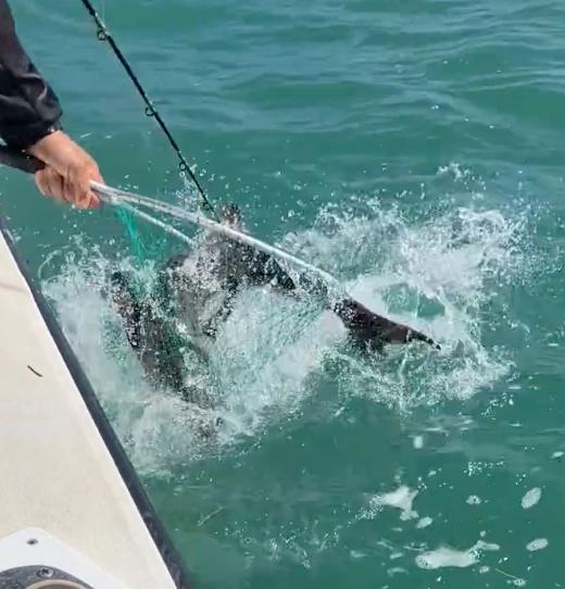 great time with Torre