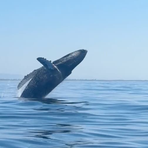 Great day out on the water 