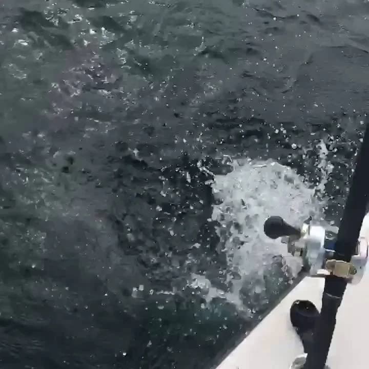 Charter Image